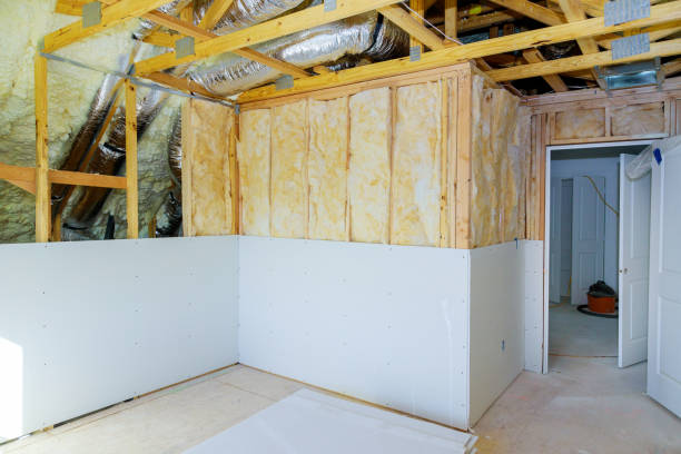 Best Eco-Friendly Insulation in Woodridge, IL